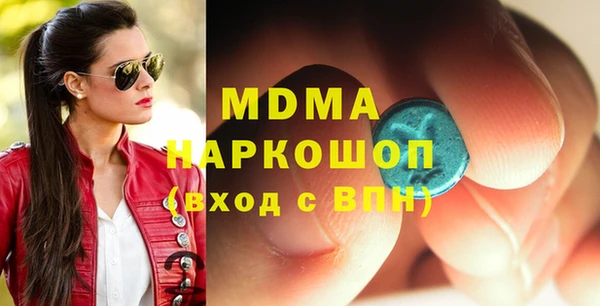 индика Вяземский