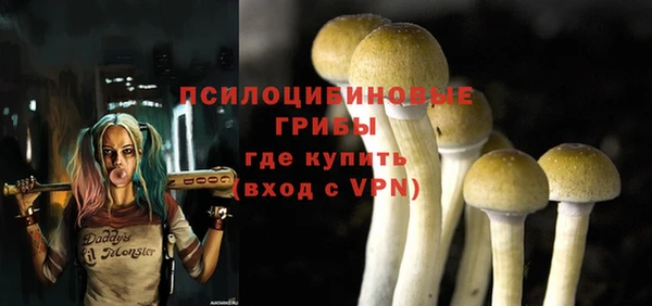 дурь Вязьма