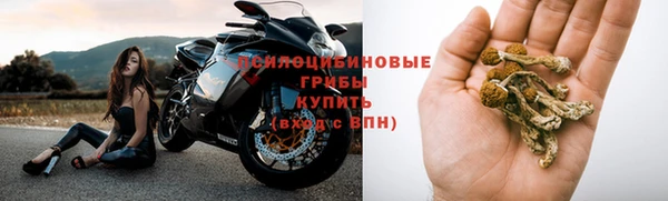 дурь Вязьма