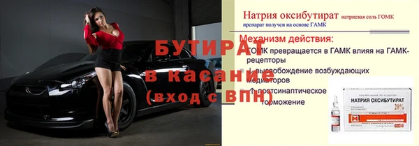индика Вяземский