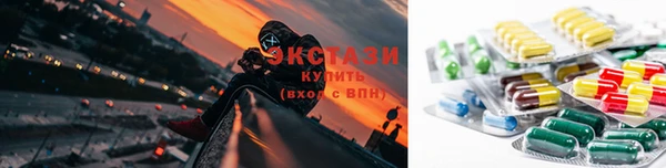 индика Вяземский