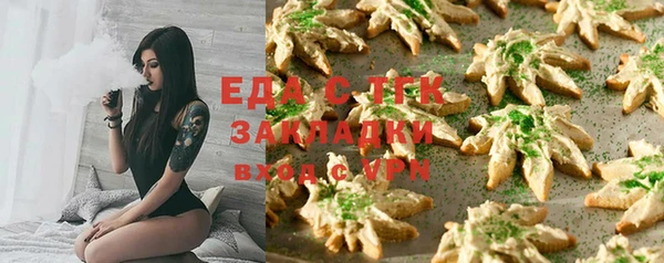 индика Вяземский