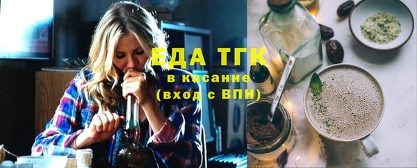 индика Вяземский