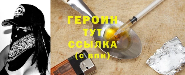 индика Вяземский
