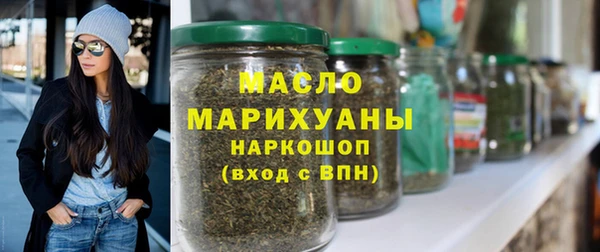 индика Вяземский