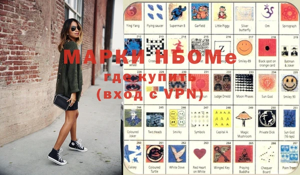 индика Вяземский
