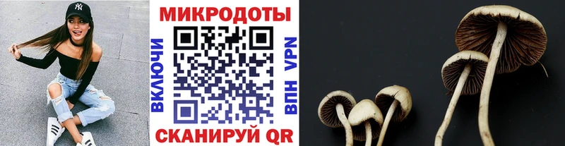 KRAKEN ONION  закладки  Снежинск  Галлюциногенные грибы Magic Shrooms 